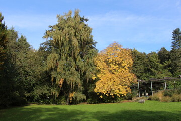 Herbst im Kurpark Bad Bevensen