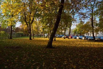 park jesienią