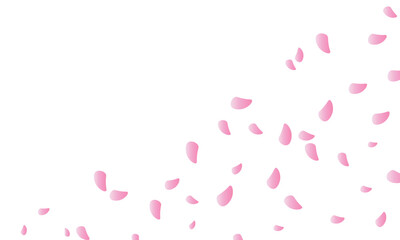 falling sakura petals on a transparent background. pink flower petals