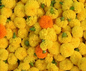 Closeup of a pile of marigold flowers for the Diwali festival