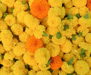 Closeup of a pile of marigold flowers for the Diwali festival