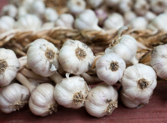 Garlic wreaths. Rich harvest.