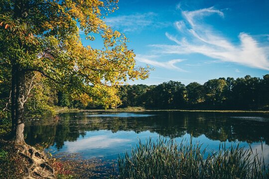 Lake In The Cuyahoga Valley National Park