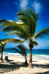 Tropical landscape in beautiful Punta Cana