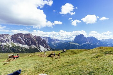 Couple of people standing on top of a lush green hillside overlooking hills valley in the background