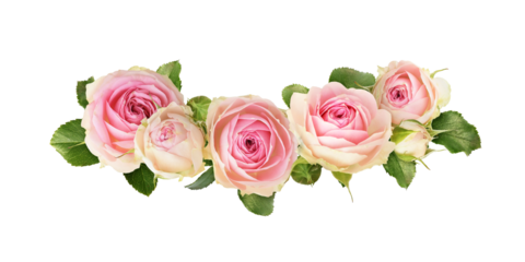 Small pink rose flowers in a floral arrangement isolated on white or transparent background