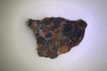 Pallasite Meteorite slice olivine crystals