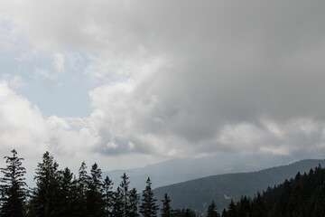 Landscape of dense clouds over green pine forest in valley and mountain range