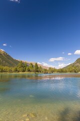 View of transparent water of mountain lake surrounded by pine trees in green valley on national park