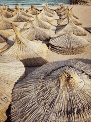 Vertical shot of straw umbrellas on a sunny beach