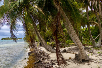 Island of Half Moon Caye tourist destination in Belize