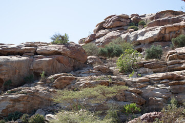 Laas Geel, Somalia
