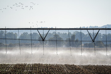 Sustainable agriculture