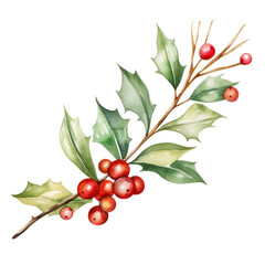 watercolor christmas decoration branch isolated