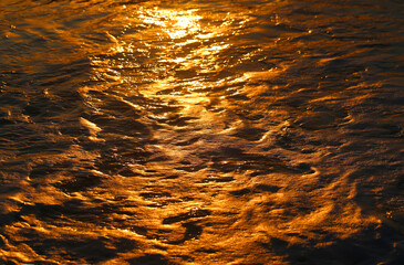 Photos of golden waves of the Black Sea - 676910342