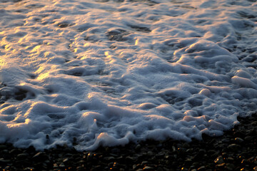Photos of golden waves of the Black Sea - 676910345
