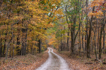 Old Trace section of the Natchez Trace Parkway road in Tennessee, USA during the fall season. This...