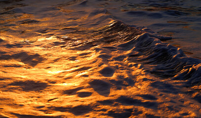 Photos of golden waves of the Black Sea - 676910398