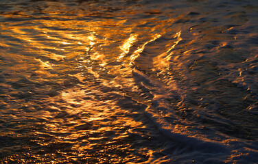 Photos of golden waves of the Black Sea - 676910515