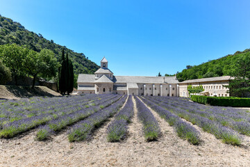 Cistercian Senanque Abbey - Gordes, France