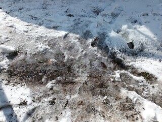 texture of melted snow