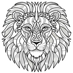 Obraz premium lion head illustration