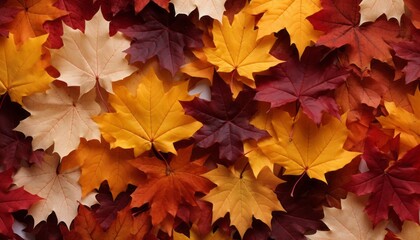 Naklejka na ściany i meble Captivating autumn landscape with vibrant fall leaves adorned in mesmerizing hues of the season