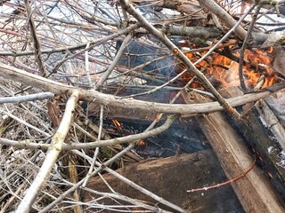 bonfire of twigs