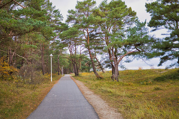 Insel Rügen an der Ostsee, Mecklenburg Vorpommern, Deutschland