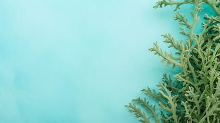 Seaweed green. Background for text.