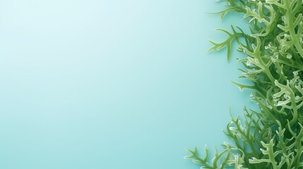 Obraz premium Seaweed green. Background for text.