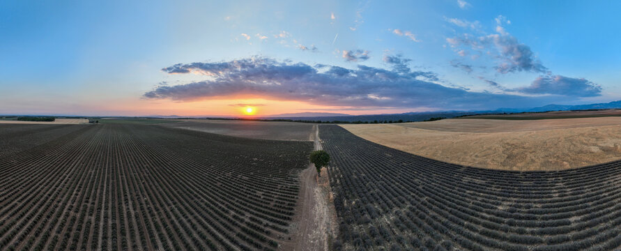 Lavender Field - Brunet, France