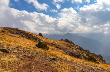 rocks and juniper trees on Amirsoy-Kumbel trail in Chimgan mountains (Tashkent region, Uzbekistan)