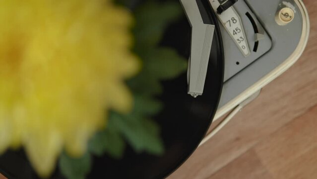Black vinyl record is spin and played on old tube turntable with rotating yellow flower out of focus. Old tonearm on record next to speed switch and volume control.