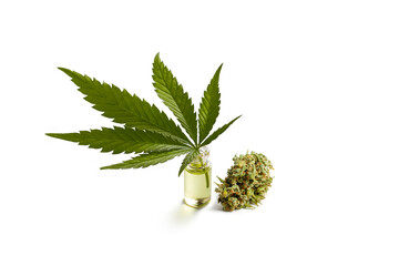 Fototapeta na wymiar Bottle of cannabis oil, leaf and bud on a white background. isolated