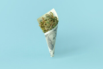 Cannabis buds wrapped in banknotes. Isolated - 676921548