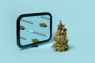 A funny composition of a cannabis bud, which is reflected in the mirror like a joint - 676921550