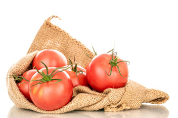 Several pink juicy tomatoes in a jute bag, macro, isolated on white background.