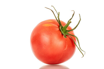 One pink juicy tomato, macro, isolated on white background.