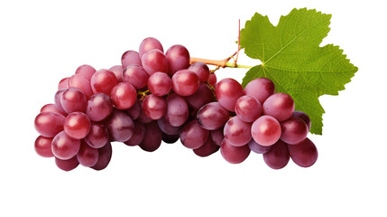 Fototapeta premium Grapes