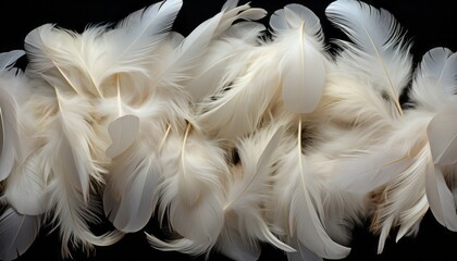 Meticulously detailed digital art of white feather texture with magnificent bird feathers