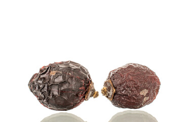 Two dry rosehip berries, macro. isolated on white background.