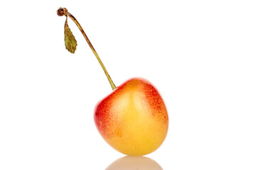 One ripe cherry berry, macro, isolated on white background.