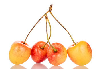 Four ripe cherries, macro, isolated on white background.