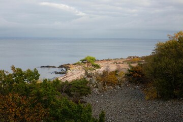 Closeup shot of a rocky coast with green plants against the still sea under the clouded sky