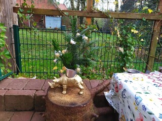 New Year, December 31, New Year tree