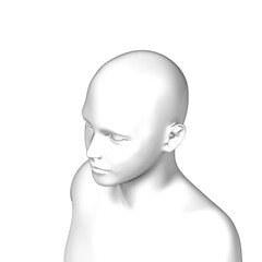 3d male human head, man body