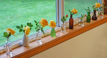 Window Display - Single rose blooms and buds in vases on the window sill