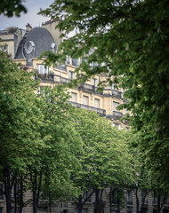 A Haussmann-style building (flat) with trees in Paris, France on July, 16, 2023.