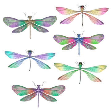 multicolor dragonflies set. collection of graceful dragonflies for printing design.